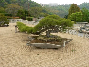 Bonsai Garden in Hakone