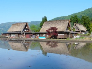 Rural Japanese Village