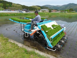 Rice Planting Machinery