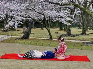 Bride and Groom under the Cherry Blossoms