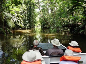 Exploring Jungle Waterways
