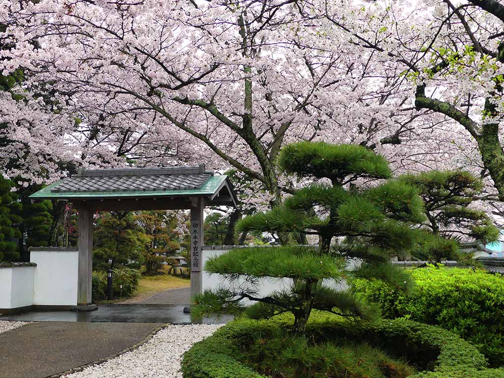 Mikimoto garden