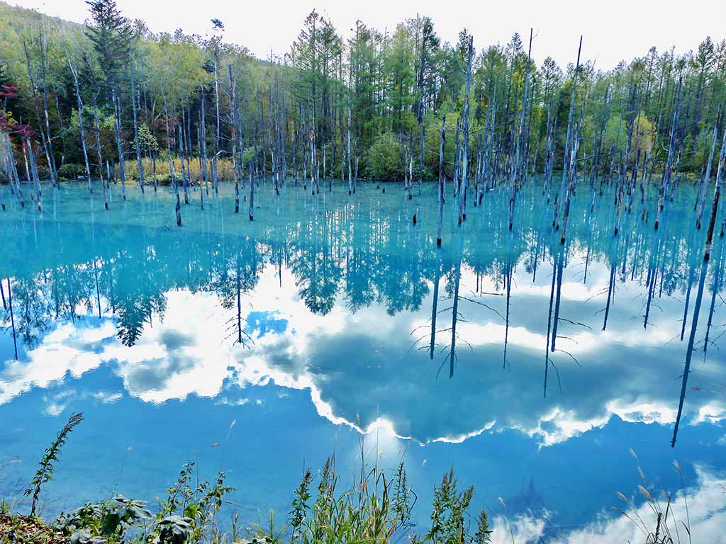 Hokkaido Blue Lagoon